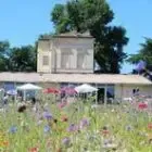 Château Lartigue-Cèdres
