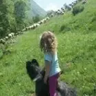 Ferme Des Hourcades