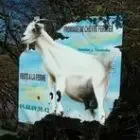 Gaec Du Soustrobe