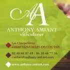 Domaine Anthony Amiant - viticulteur à St Mars de Coutais