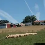 Le Domaine Etxemendybeheria