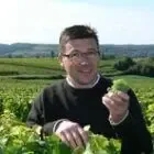 Domaine Guy Allion