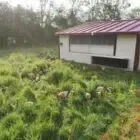 Gaec Jupillat-bathier
