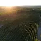 Domaine Beauchamp