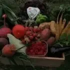 Au Jardin De Camille