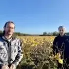 THOMAS Yves & Éric