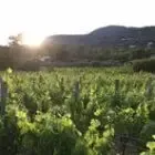 Domaine Saint-Joseph