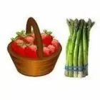 Cueillette de Fraises, Fleurs & Asperges : TERRADOC