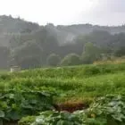 La Ferme de Kellers
