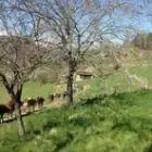 Ferme de la Grangette GAEC