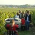 Audebert et Fils