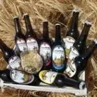 Microbrewery Chandres