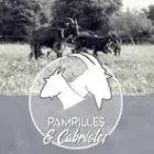 Pampilles & Cabrioles