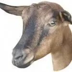 La ferme du pesillon
