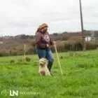 Les Chevres De Kergotin