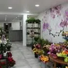 Maison Borel - Fleurs Décor