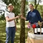 Turtaut Patrice