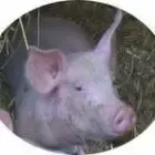 Ferme de la Moinerie