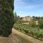 Château de Rouffiac