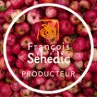 CIDRE SEHEDIC