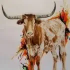 Longhorn Ranch