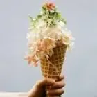 Le Gapençais - Glace fermière