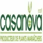 Earl CASANOVA plants maraîchers