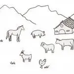 Ferme De La Sure
