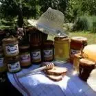 GAEC L'Abeille Gourmande