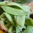 Les Jardins de Cidamos
