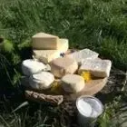 La ferme du Clot