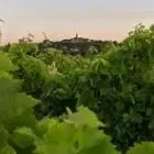 Domaine Plaisance Penavayre
