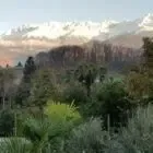 LA PALMERAIE DES ALPES