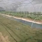 Les Biao Jardins d la Renaud' Samuel Debroise