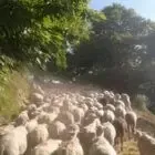 Gaec Des Monts De L oize