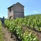 Gilles Bonnefoy - Vins de la Madone