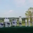 Chevalait
