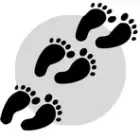 Safran Bio - Les Pieds sur Terre
