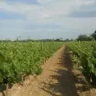 Domaine Preignes Le Neuf