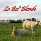 La Bel' Blonde