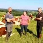 Gaec D'anglards le Pommier