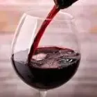 SCA les Vignerons de St Gely