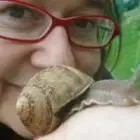 LES ESCARGOTS DES ENCLOS
