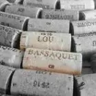 Lou Bassaquet