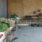 GAEC la Amapola