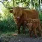 Ferme Des Petits Tresseaux