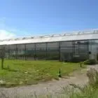 Céline Chevalier - Plants Potagers Bio