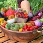 Nimaplants (SAS) pour les particuliers