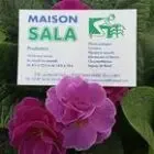 Maison Sala