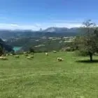 La ferme Rebreyend - Elevage bovins AB
